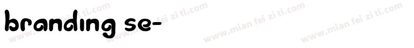 branding se字体转换